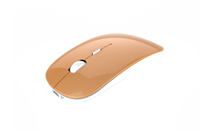 Rechargeable Wireless Mouse, 2.4G Silent Computer Optical Mouse Portable & Slim with USB C Adapter, USB Receiver, 3-Level Adjustable DPI, Compatible with PC, Laptop, Notebook, Computer -  Cycling Apparel, Cycling Accessories | BestForCycling.com 