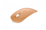 Rechargeable Wireless Mouse, 2.4G Silent Computer Optical Mouse Portable & Slim with USB C Adapter, USB Receiver, 3-Level Adjustable DPI, Compatible with PC, Laptop, Notebook, Computer -  Cycling Apparel, Cycling Accessories | BestForCycling.com 
