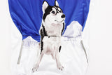 Wolf Men's Cycling Jersey T-shirt NO.611 -  Cycling Apparel, Cycling Accessories | BestForCycling.com 